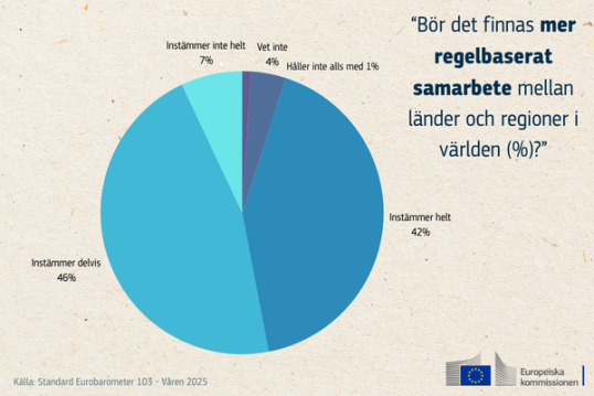 Européerna vill ha ett starkare och mer beslutsamt EU