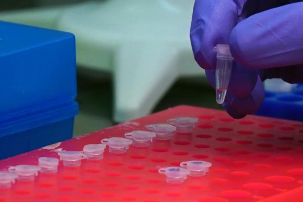 Laboratoriebild, PCR-analys, JRC lab