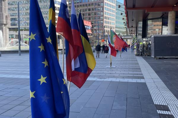 EU-flaggan samt medlemsstater utanför Kulturhuset